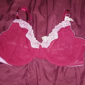 Elegant Lace Trimmed Bra in Red